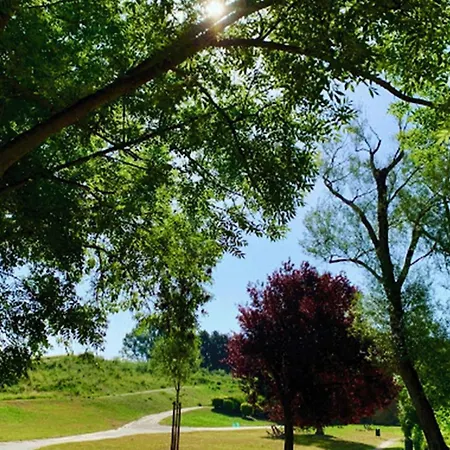 Fonctionnel Confort Appartement *